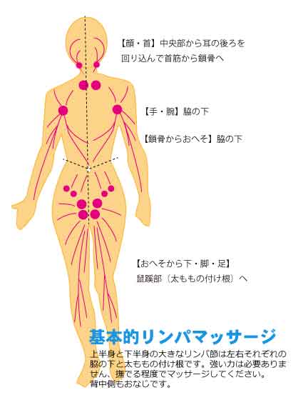 メドマー家庭用治療器 リンパ節は再生する