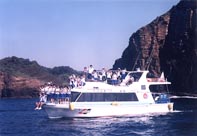 壱岐、海水浴場、辰の島、遊覧、辰の島観光ボート