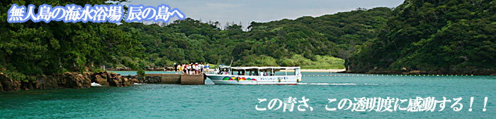 壱岐観光ならこの海、本命のクリスタルな海水浴場、辰の島です。